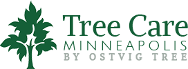 Tree Care Minneapolis