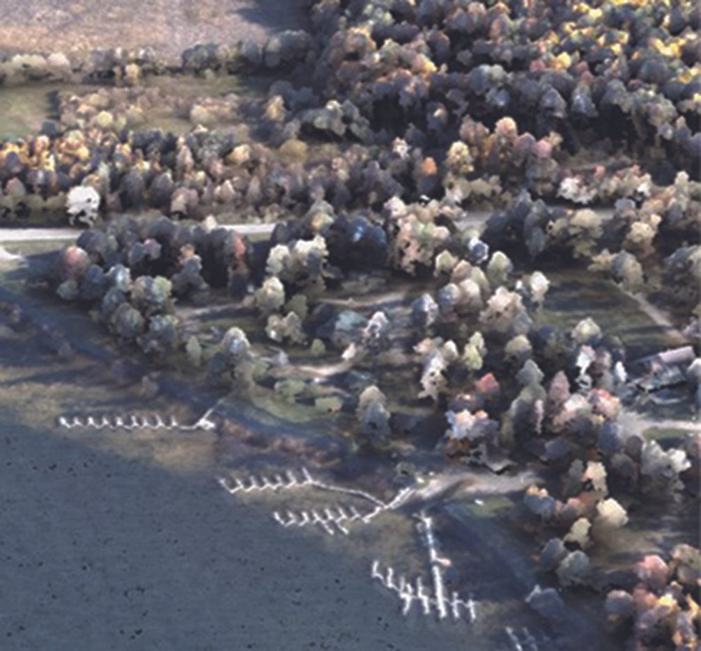 Forest of Points